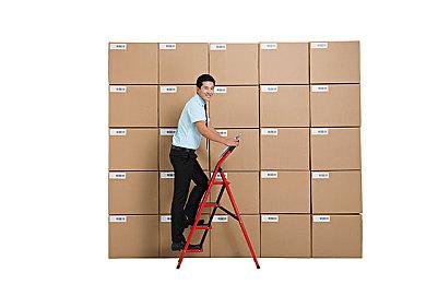 RPG游戏《魔女之泉R》正式发售 Steam首发141元